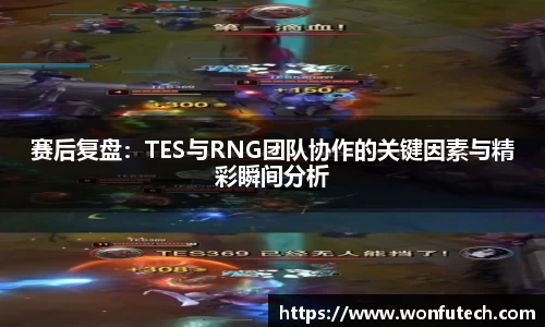 赛后复盘：TES与RNG团队协作的关键因素与精彩瞬间分析